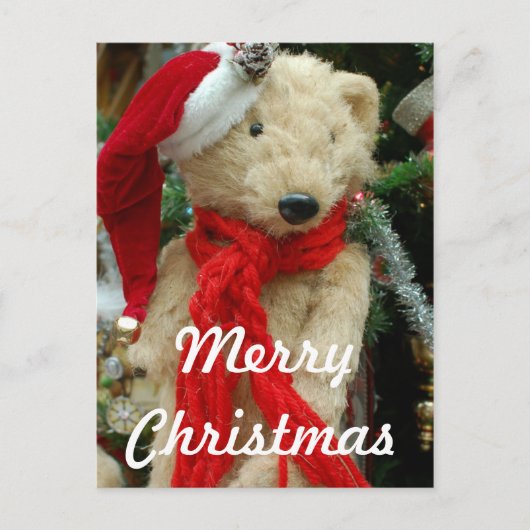 Schattigee Kerst Beer Foto Briefkaart (Voorkant)