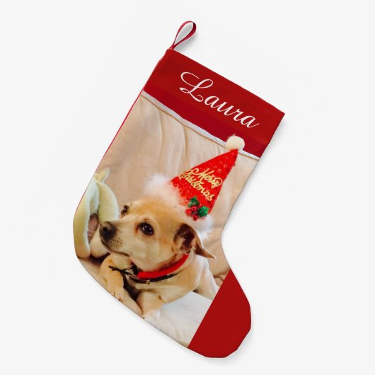 Schattigee Kerst Chihuahua Hond 4Laura Kleine Kerstsok (Voorkant (Hangend))