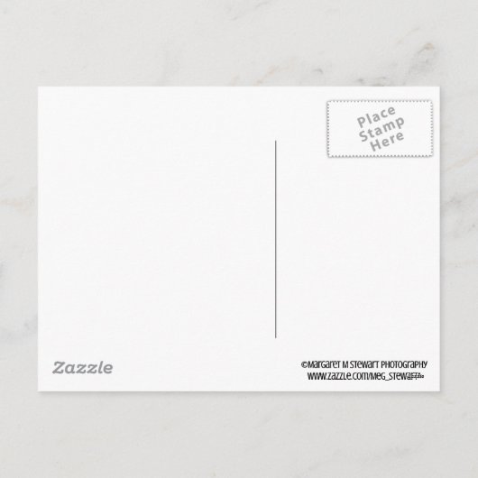 Schattigee kerst Chipmunk Feestdagenkaart (Achterkant)