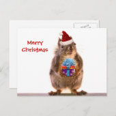 Schattigee Kerst Eekhoorn en Gift Feestdagenkaart (Voorkant / Achterkant)