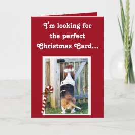 Schattigee kerst Kaart w / Basset, snoep Cane, & S