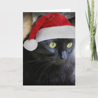 Schattigee Kerst Kaart,  Zwarte Kat w Santa Pet Feestdagen Kaart
