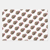 Schattigee kerst kiwi, op maat inpakpapier vel (Voorkant)