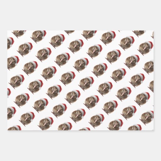 Schattigee kerst kiwi, op maat inpakpapier vel (Voorkant)