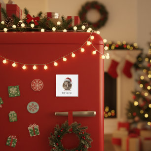 Schattigee kerst kiwi, op maat magneet