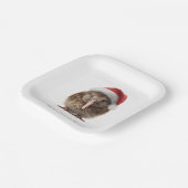 Schattigee kerst kiwi, op maat papieren bordje (Gebogen)