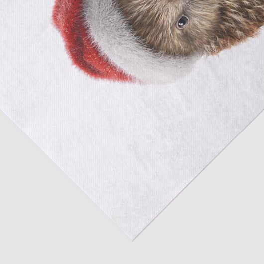 Schattigee kerst kiwi, op maat tissuepapier (Detail)