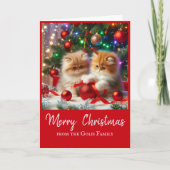 Schattigee Kerst Perzische Katten Vakantie Groet Kaart (Voorkant)