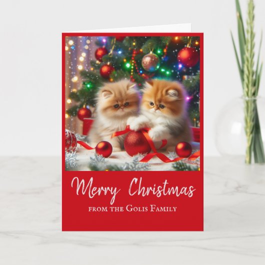 Schattigee Kerst Perzische Katten Vakantie Groet Kaart (Voorkant)