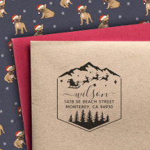 Schattigee kerst Sant Claus terugkeer