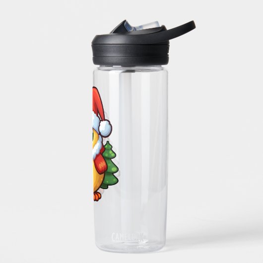 Schattigee kersteend in kerstmuts waterfles (Links)