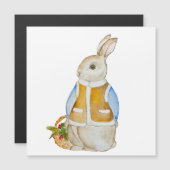 Schattigee kersthaas met een mand met sparrenzemel (Voorkant / Achterkant)