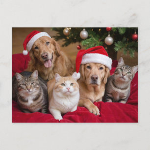 Schattigee kersthonden en -katten feestdagenkaart