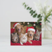 Schattigee kersthonden en -katten feestdagenkaart (Staand voorkant)