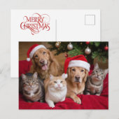 Schattigee kersthonden en -katten feestdagenkaart (Voorkant / Achterkant)