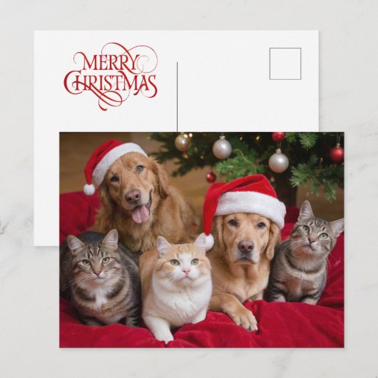 Schattigee kersthonden en -katten feestdagenkaart (Voorkant / Achterkant)