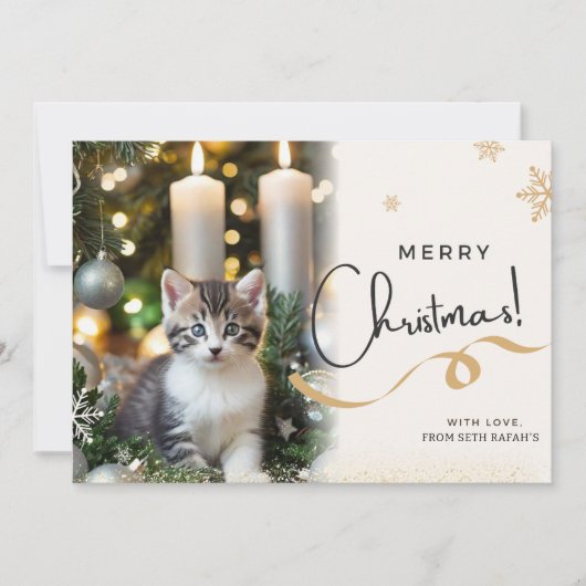 Schattigee kerstkaart voor katten (Voorkant)