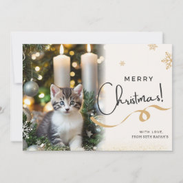 Schattigee kerstkaart voor katten