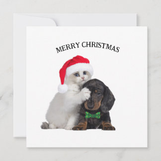 Schattigee kerstkat en grappige hondenkerstmis Kaa