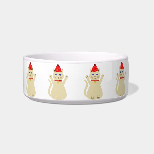 Schattigee kerstkat met patroon voerbakje (Voorkant)