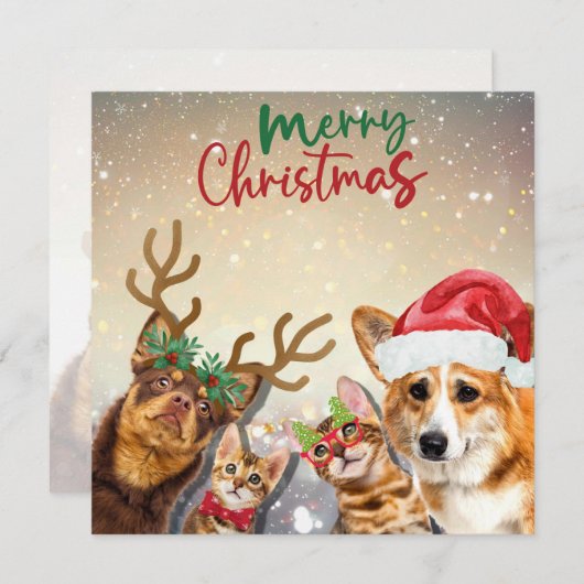 Schattigee kerstkatten en honden grappige dieren feestdagenkaart (Voorkant / Achterkant)