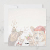 Schattigee kerstkatten en honden grappige dieren feestdagenkaart (Achterkant)