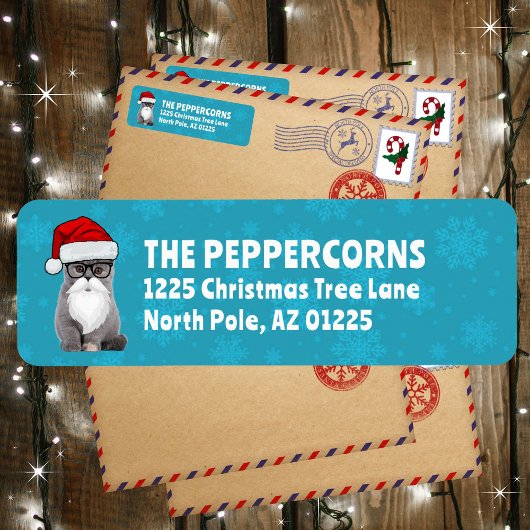 Schattigee Kerstman Kat Blauwgroen Retour Adres Etiket