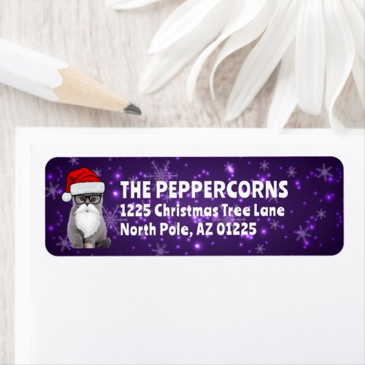 Schattigee Kerstman Kat Paarse Terugkeer Adres Etiket (Insitu)