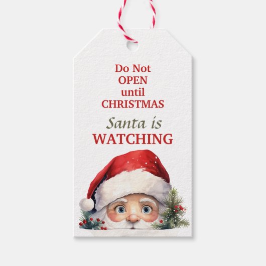 Schattigee kerstman kijkt Kerstmis Cadeaulabel (Voorkant)