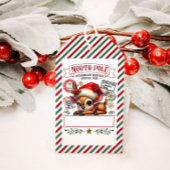 Schattigee kerstspecial van Santa Cadeaulabel