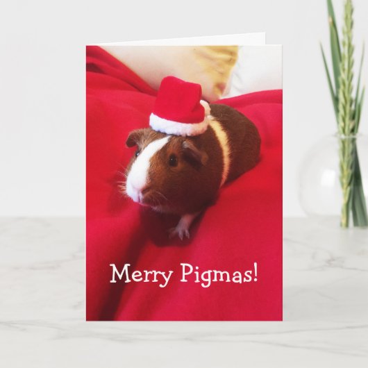 Schattigee kerstvakantie voor Santa Guinea Pig Feestdagen Kaart (Voorkant)