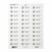 Schattigee kikker kerstmuts kerst terug adres etiket (Full Sheet)