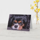 Schattigee King Charles Cavalier Dog Verjaardag Ka Kaart (Gele Bloem)