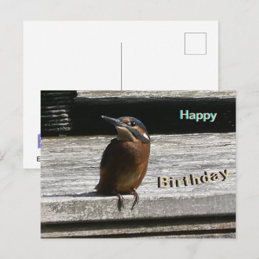 Schattigee Kingfisher Close Up Happy Birthday Brie Feestdagenkaart (Voorkant / Achterkant)
