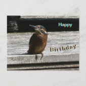 Schattigee Kingfisher Close Up Happy Birthday Brie Feestdagenkaart (Voorkant)