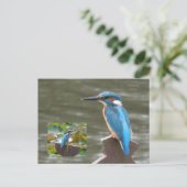 Schattigee Kingfishers DIY Briefkaart (Staand voorkant)