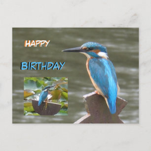 Schattigee Kingfishers Happy Birthday Briefkaart