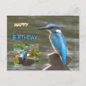 Schattigee Kingfishers Happy Birthday Briefkaart (Voorkant)