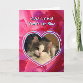 Schattigee kitten De kat is mijn favoriete Valenti Kaart