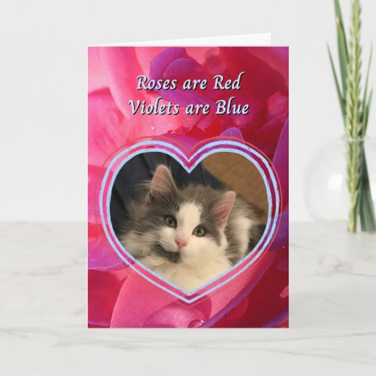 Schattigee kitten De kat is mijn favoriete Valenti Kaart (Voorkant)