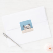 Schattigee kitten gluren ragdoll kat vierkante sticker (Envelop)