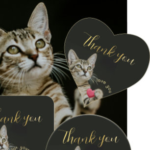 Schattigee kitten Ik hou van je met hart Sticker