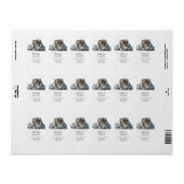 Schattigee kitten in een handdoek etiket (Full Sheet)