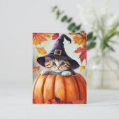 Schattigee kitten in pompoen met Paarse heks Pet Briefkaart (Staand voorkant)