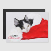 Schattigee Kitten in Santa Hat (Voorkant / Achterkant)