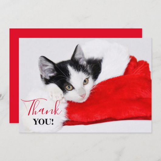 Schattigee Kitten in Santa Hat Bedankkaart (Voorkant / Achterkant)
