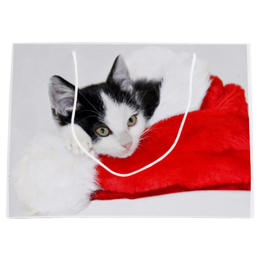 Schattigee Kitten in Santa Hat Groot Cadeauzakje (Voorkant)