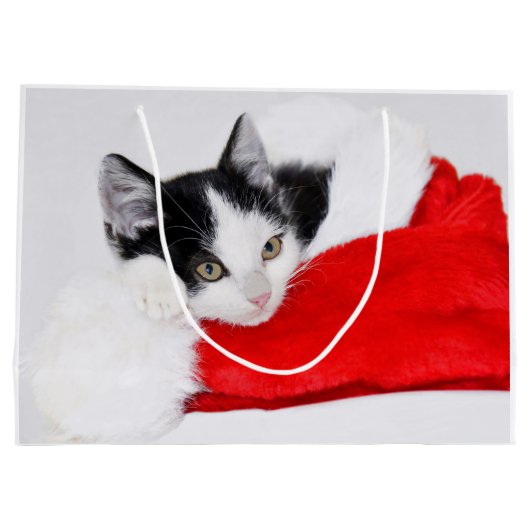 Schattigee Kitten in Santa Hat Groot Cadeauzakje (Achterkant)