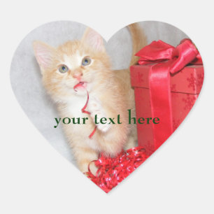 Schattigee kitten Kerst stickers