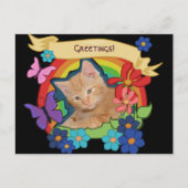 Schattigee kitten met Scrolls Briefkaart (Voorkant)